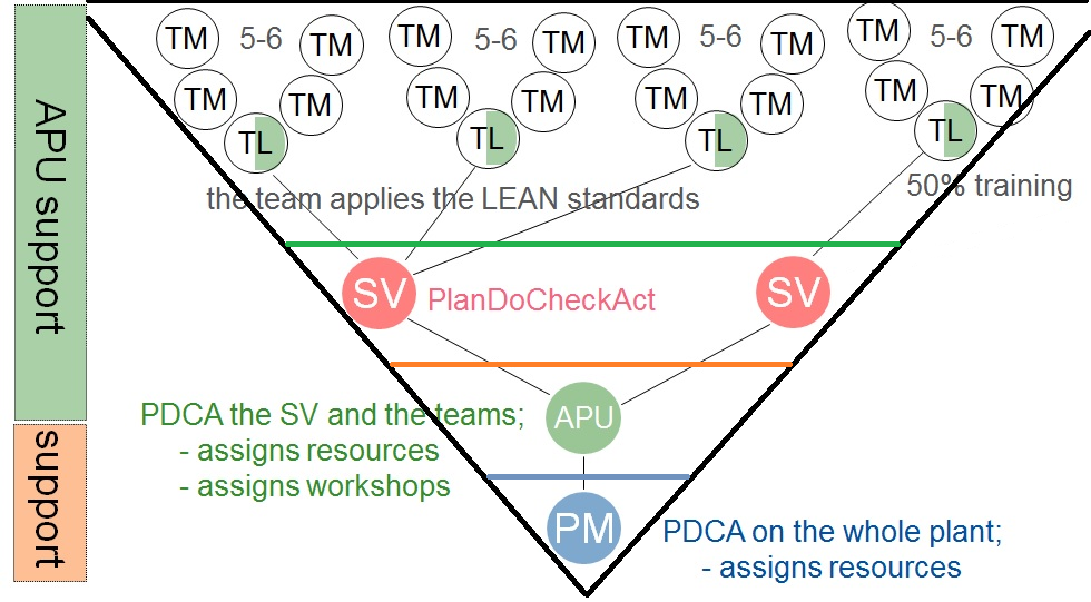 STABER team based organization- reversed